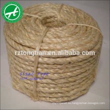 Cuerda natural del sisal sin tratar 3/4 filamento 1 pulgada 6m m para el empaquetado, agricultura, marina, envío